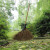 竹扫把农村老式竹丝扫帚笤帚户外庭院环卫通用大扫把扫院子 芦花扫把 长1.1米宽55厘米
