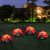 博雷奇太阳能户外防水发光造型灯卡通灯甲虫布置草坪灯别墅景区花园 发光3只甲虫-接电款-暖光