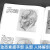 动态素描系列3册 人体解剖+手部结构+头部结构 人物素描速写临摹基础技法 艺术绘画书籍