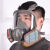 迈恻亦化学实验室防毒面具防尘喷漆甲醛化工打农消防油漆 全面具(防雾款)3号罐七件套