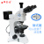 定制睿鸿正交上下偏光显微镜带补偿镜检偏器 可金相显微镜可测量 偏光显微镜标配带-测量目镜