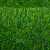 居拾忆 仿真草坪人造地毯假草皮垫户外人工绿色装饰足球场幼儿园工地围挡垫装饰 15mm翠绿色50平方/卷