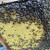 中蜂蜂群带王蜜蜂活体养殖带子脾阿坝中蜂带蜂箱中华土蜂出售笼蜂 9500工蜂+王