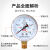 HKNA仪表空压机压力表Y-60径向普通气压表气泵1.6mpa水压表 0-0.1mpa