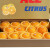 达林果蔬澳洲ACE进口橙子 新鲜应当季夏脐橙水果礼盒甜橙手剥橙精选果送礼 32-36粒原箱包装随机发货