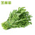 （顺丰发货）芝麻菜 火箭菜 新鲜蔬菜沙拉食材西餐色 250g