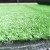 人造仿真草坪绿色围挡地毯草楼顶幼儿园操场庭院足球场运动草 定制 1.5厘米无背胶绿色 50平一卷