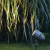 灯典（DENG DIAN）室外园林照树灯防水LED建筑亮化射灯户外灯庭院花园道路插地射树灯C-003727 8w 3000K IP65