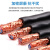 铜网控制电缆RVSP2芯0.75 1.0 1.5 2.5平方信号电线485双绞屏蔽线 2芯2.5双绞屏蔽线100米铜芯铜网