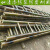 竹梯子直梯2米3米4米5米6米竹梯家用梯子电力工程竹梯幼儿园竹梯 梯子长1.5米