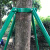 归零镀锌钢管树木支撑架 金属铁抱箍固定器 园林绿化防风大树撑杆 1.5米镀锌原色32管厚三脚