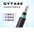 防鼠重铠装光缆GYTA53-12B1单模4/8/16/24/36/48/96芯直地埋光纤 GYTA53-6芯