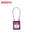 BOZZYS BD-G48 KD 150*3.5MM不锈钢缆绳 工程缆绳安全挂锁