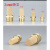 SL铜质长头气动消音器 消声器宝塔尖头型1分2分3分4分SL-01/02/03 6分 DN20 G3/4