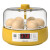 孵蛋器1枚小鸡孵化器小型型儿童孵化机鹦鹉迷你全自动孵化箱 20枚全自动单电(方盒款)