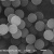 链霉亲和素修饰聚苯乙烯微球 10毫升 1%固含量10mg/ml