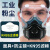 代尔塔（DELTAPLUS）防尘口罩防工业粉尘面罩呼吸全脸防护罩面具收割机打磨过滤棉装修 高效过滤防尘面具+防尘镜+10片