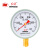 红旗（HONGQI）Y-100红旗普通压力表径向安装0-0.1mpa水压油压气压表螺纹M20*1.5	