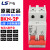 LS产电 小型断路器 BKN-2P 6A-63A D型 动力型 两相空气开关 63A 2P