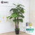 捷诺立（JNL）仿真植物客厅装饰假滴水观音大型绿植盆栽室内摆件含盆+草N96286
