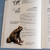 【包邮全新正版】蛙类博物馆 北京大学出版社 蒂姆·哈利迪 9787301294017
