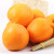 静益乐源金太阳大黄杏 酸甜黄杏 新鲜水果 2.5kg（净重4.5-5斤）