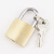海斯迪克 铜锁黄铜挂锁 箱锁柜子锁小锁头 电力表箱锁小铜锁HKsq-352 20mm短梁单开 