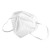 嘉柏兰 KN95口罩50片/盒 一次性使用口罩【50个装】 防雾霾防飞沫五层防护 口罩