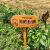 幼儿园菜园植物种植标示牌菜地农场草地爱护花草提示牌户外警示牌【12月12日发完】 C款绿色空白板 均码