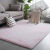 定制长毛ins风地毯客厅卧室满铺可爱网红同款床边地毯地垫 扎染粉色色 50里米*160里米