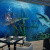 多美莱海底世界壁纸3d立体视觉延伸空间墙纸儿童房西餐厅天花板装饰壁画 5D凹凸丝绢布/平米