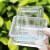玻璃染色缸立式载玻片染色架卧式玻璃浸泡缸实验室病修复染色缸 竖立形(5片)