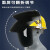电焊面罩安全帽式焊工防护面具防烤脸全脸头戴式焊帽面屏防护罩 单独屏+(黑色)