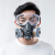 安爽利防毒面具防尘口罩全面罩喷漆专用全脸呼吸防护防烟灰尘防毒气甲醛