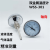 上海天川仪表WSS-301轴向双金属温度计2分4分牙0-50100200300 0-100度 2分 50mm