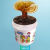 嗨绿蘑蘑菇种植桶装盆栽食用菌包平袋儿童DIY娃娃小菇趣味阳台种园艺 灵芝 1桶装（大桶约2.2斤-更高产）