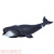 弓头鲸  仿真海洋生物鲨鱼玩具鲸鱼动物模型弓头鲸蓝鲸大白鲨儿童认知礼物 弓头鲸