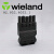 定制Wieland威琅 黑色GST18 插头 连接器 92.3.4053.1母头 50个