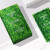 美肌颜（mergian）面膜官方小绿盒花果萃水悦丝滑嫩面膜 1盒5片现货速发 防伪可查