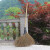 竹扫把农村老式竹丝扫帚笤帚户外庭院环卫通用大扫把扫院子 鬃毛扫帚 长1.4米
