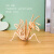 晴野激光立体拼图儿童DIY玩具手工彩绘装饰工艺木质拼装昆虫模型 A-161 鳄鱼