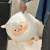 BXAdongdong羊公仔原皮咚咚羊玩偶抱枕小挂件毛绒玩具娃娃萌 双倍快乐套装(蜜蜂羊挂件+原皮