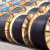 起帆（QIFAN）中型橡套软电缆YZ-4*6450/750V （100米/卷） 黑色 