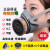 德威狮3600防毒防护面具电焊喷漆工业气体防甲醛喷药口鼻面罩 防毒面具1套（内含1个滤毒盒）