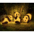 太阳能熊猫灯动物灯园林亮化灯灯饰灯具发光灯景观灯 熊猫A款