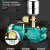 中赤全自动家用220V自吸泵小型自来水螺杆增压泵抽水泵吸水井抽水机 【自动】1100W