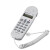 QIYO琪宇A666来电显示便携式查线机查话机 电信联通铁通抽拉免提 灰白色C019带来电显示带线