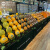 纸板可移动阶梯式陈列货架水果店中岛便携超市展示架多层纸质台阶 3阶外直角