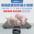 上海耀华A12高精度畜牧称重小地磅称猪称牛畜牧农业专用电子定制 2x3m 无围栏
