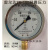 雷尔达YN-100耐震压力表真空表抗震液压油压表0-1 1.6 2.5 40MPA 0-2.5MPA